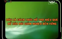 Làm sao để trao "cần câu" cho người nghèo?