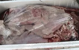 Bắt giữ 6 tạ nội tạng bẩn, bị chảy nước bốc mùi