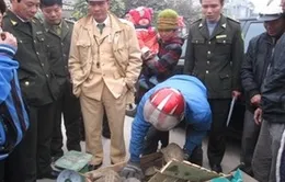 Phát hiện xe khách chở hơn 310kg động vật hoang dã