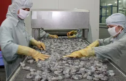 Xuất khẩu tôm lần đầu tiên đạt giá trị trên 3 tỷ USD