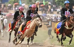 Đưa lễ hội đua ngựa của đồng bào Mông về Hà Nội 