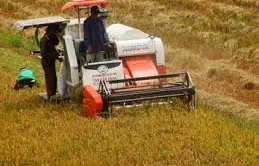 ĐBSCL: Nâng cao năng lực gặt, sấy lúa