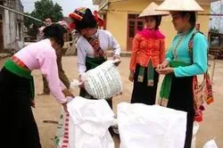 Hỗ trợ gạo cứu đói dịp Tết cho 9 tỉnh