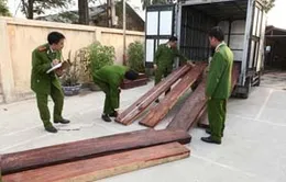 Phát hiện vụ buôn lậu gỗ quý qua đường hàng không 