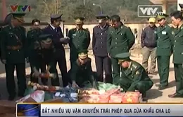 Bắt nhiều vụ vận chuyển trái phép qua cửa khẩu Cha Lo