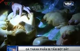 Hậu Giang: Gà thành phẩm nhiễm bột sắt 