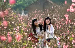 Cả nước sẽ đón Tết Giáp Ngọ trong thời tiết đẹp