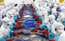 Xuất khẩu thuỷ sản tăng khá trong tháng đầu năm