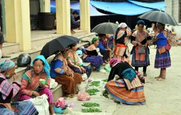 Chợ phiên Bắc Hà - nét văn hóa đặc sắc vùng cao Tây Bắc 