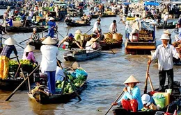 Sôi động chợ nổi Cái Răng ngày cận Tết