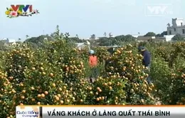 Vắng khách ngày giáp Tết ở làng quất Thái Bình
