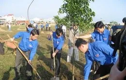 Quảng Trị: Phát động Tết trồng cây Xuân Giáp Ngọ
