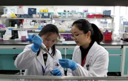Thêm 3 trường hợp nhiễm virus H7N9 ở Trung Quốc