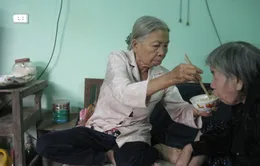 Thương bà lão “bán sức khỏe” 3 ngày mới kiếm được… 10 nghìn đồng