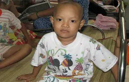 Ước mơ của bé ung thư máu