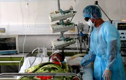 Khánh Hòa: 5 người nhiễm cúm A/H1N1, 1 người bị tử vong 