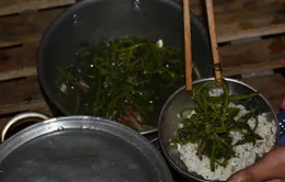 Ăn cơm với rau dại, măng rừng nuôi giấc mơ tìm chữ