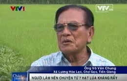 Xứng danh “Vua lúa giống miền Tây” từ… 7 hạt lúa