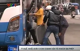 TT- Huế: Nhiều đơn vị kinh doanh vận tải khách sai phép