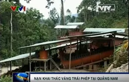 Căn nguyên nạn "vàng tặc" tại Quảng Nam?