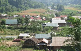 Đăk Nông phê duyệt dự án ổn định dân di cư tự do
