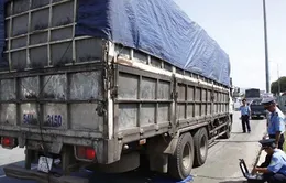 Còn hơn 28.000 xe ôtô chở hàng quá khổ