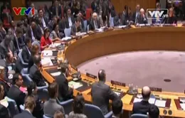 LHQ thông qua nghị quyết viện trợ nhân đạo tại Syria 