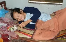 Hoàn cảnh đáng thương của cụ bà cô độc 