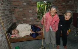 Hai cụ già đau đớn nhìn con chết mòn