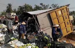 Lật xe chở trái cây: Dân không “hôi của”, giúp tài xế nhặt hàng