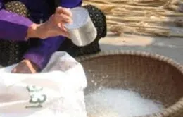 Quảng Trị: Xử lý sai phạm trong việc cấp phát gạo cứu đói 