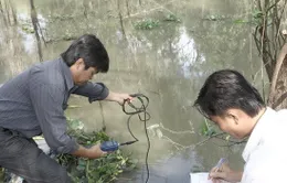 Nước mặn xâm nhập sâu từ 40-50km tại ĐBSCL