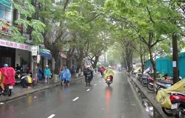 Miền Bắc trở rét từ chiều nay (13/3)