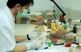 Phát hiện hai bệnh nhân nhiễm cúm A/H1N1 tại Thanh Hóa
