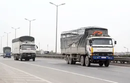 Xe chở hàng từ 10 tấn trở lên sẽ bị "quản chặt"