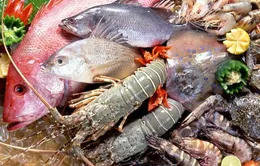 Khẩn trương xác minh thông tin thủy sản ở Hà Nội bị ô nhiễm kim loại