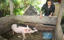 Nữ Phó Chủ tịch xã giàu tâm huyết với bản làng...