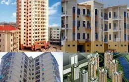 Hôm nay (25/3), công bố gói 50.000 tỷ đồng cho thị trường xây dựng và BĐS