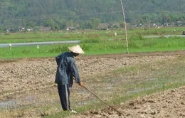 Suy kiệt nguồn nước ảnh hưởng lớn đến sản xuất nông nghiệp