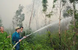 Gần 34.000ha rừng tràm ở Cà Mau có nguy cơ cháy cao 