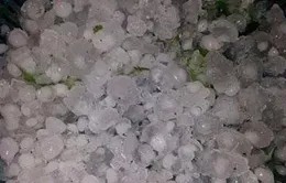 Mưa đá tàn phá nhà cửa, hoa màu tại Cao Bằng