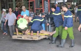 Ngạt khí mê tan 2 người chết, 4 người nguy kịch