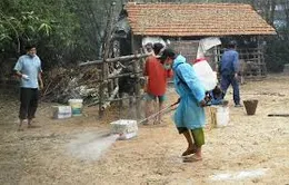 Dịch lở mồm long móng bùng phát ở Hà Tĩnh	