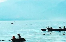 Quảng Bình bắt hai tàu cá khai thác tôm hùm trái phép