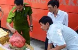 Thu giữ 840kg nội tạng động vật không rõ nguồn gốc