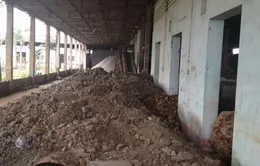 Bắt quả tang cơ sở sơ chế vàng trái phép tại Hà Nội