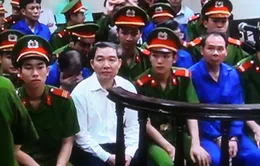 Xử phúc thẩm vụ Dương Chí Dũng: 16 luật sư tham gia bào chữa cho 9 bị cáo