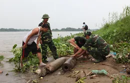 Xử lý thành công quả bom có trọng lượng 125kg