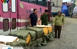 Hà Nội: Hơn một tấn nội tạng ngâm tẩm hóa chất bị bắt giữ