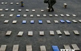 Colombia đạt thỏa thuận lịch sử với FARC